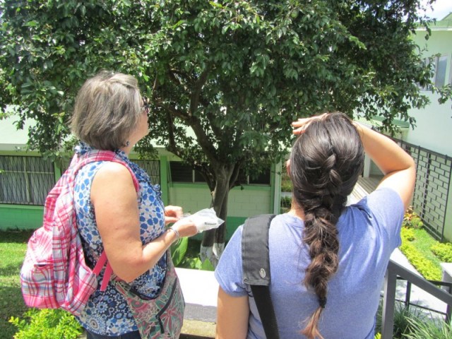 13032422614_2dfc985fd6_b