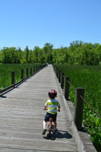 Riding the Mount Vernon Trail. 