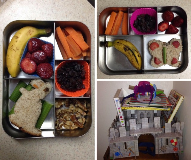 First day designs 2015